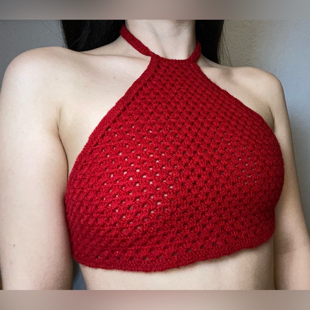 Red Mesh Crop Top/Brallete